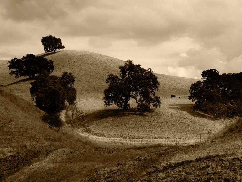 sudoku for beginners