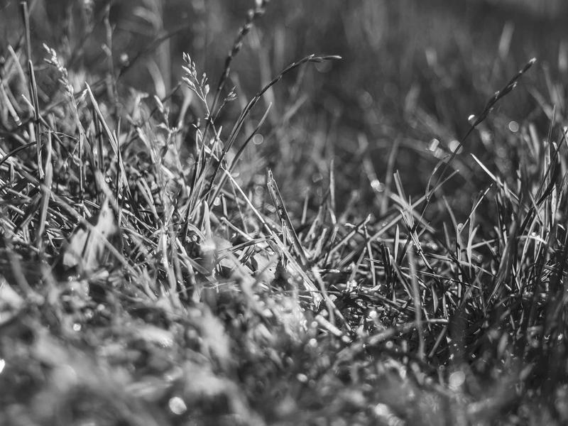 sudoku for beginners screenshot 6